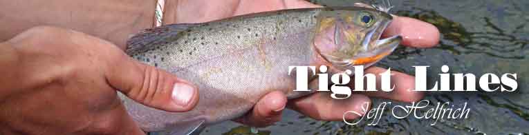 Fishing teh Middle Fork Salmon River Idaho