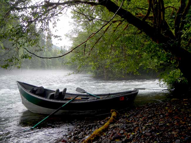 Driftboat Fly Fishing with Jeff Helfrich on the McKenzie River Oregon