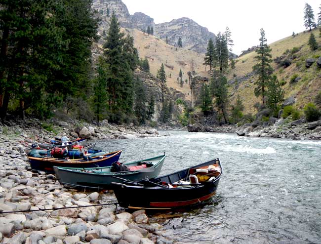 Jeff Helfrich Driftboat fly fishing in Pacific Northwest Idaho on the Middle Fork Salmon River